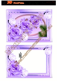 Purple rose & purple frame