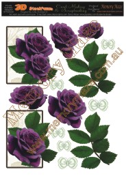 Purple roses