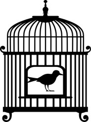 Bird cage with bird vintage 607 x 105  mm